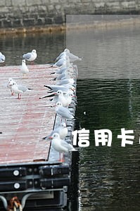 信用卡逾期了可以做捷信吗