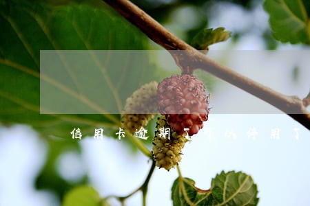 信用卡逾期了可以停用了吗