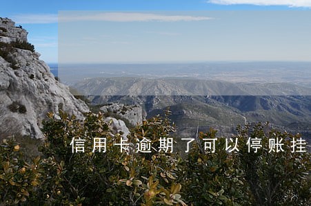 信用卡逾期了可以停账挂息 信用卡逾期了可以停账挂息