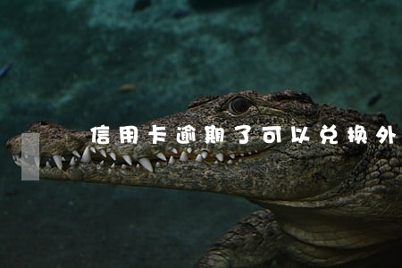 信用卡逾期了可以兑换外币吗