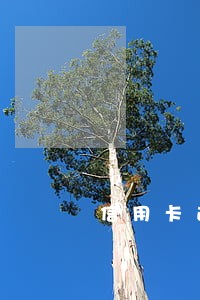 信用卡逾期了可以入党吗