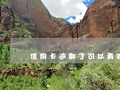 信用卡逾期了可以再做法人吗 信用卡逾期了可以再做法人吗