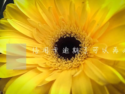 信用卡逾期了可以再办信用卡吗 信用卡逾期了可以再办信用卡吗
