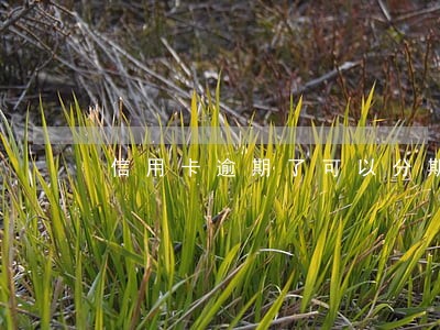 信用卡逾期了可以分期购车吗 信用卡逾期了可以分期购车吗