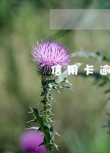 信用卡逾期了可以办分期还款吗 信用卡逾期了可以办分期还款吗