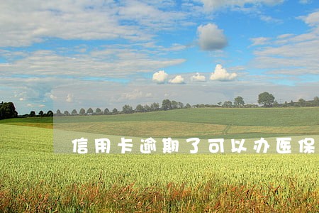 信用卡逾期了可以办医保卡吗