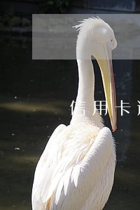 信用卡逾期了可以办理储蓄卡吗 信用卡逾期了可以办理储蓄卡吗