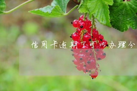 信用卡逾期了可以办理分期还款吗 信用卡逾期了可以办理分期还款吗