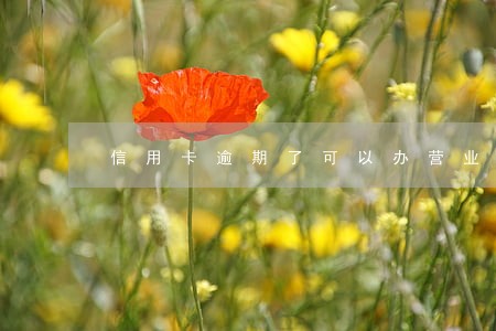 信用卡逾期了可以办营业执照嘛 信用卡逾期了可以办营业执照嘛