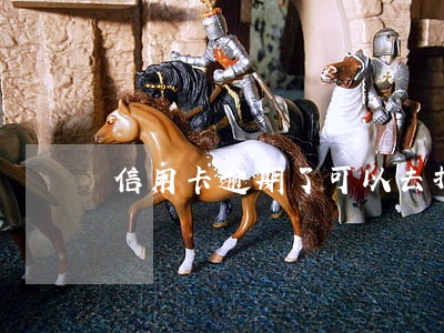 信用卡逾期了可以去打流水吗