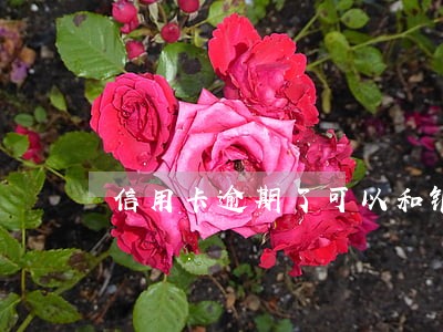 信用卡逾期了可以和银行沟通吗