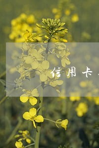 信用卡逾期了可以坐高铁不 信用卡逾期了可以坐高铁不