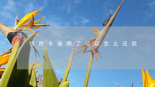 信用卡逾期了可以怎么还款 信用卡逾期了可以怎么还款