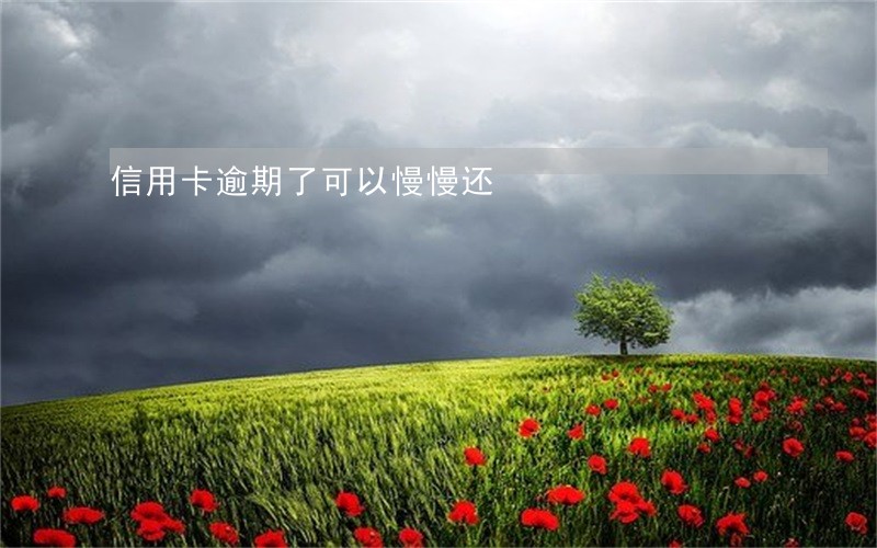 信用卡逾期了可以慢慢还
