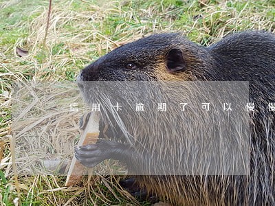 信用卡逾期了可以慢慢还骂 信用卡逾期了可以慢慢还骂