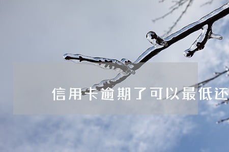 信用卡逾期了可以最低还款么 信用卡逾期了可以最低还款么