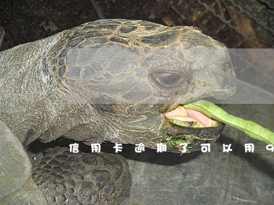 信用卡逾期了可以用9色