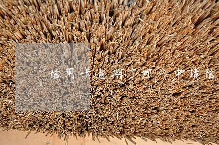 信用卡逾期了可以申请信用卡吗