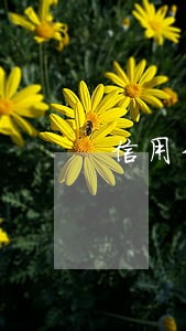 信用卡逾期了可以申请注销吗