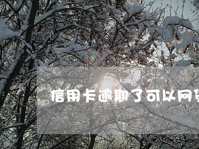 信用卡逾期了可以网贷吗 信用卡逾期了可以网贷吗