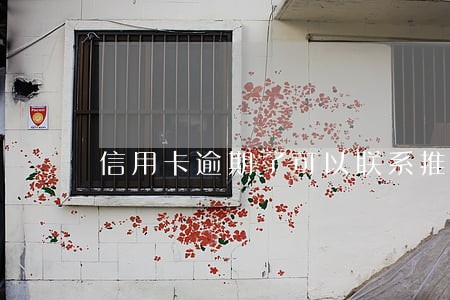 信用卡逾期了可以联系推迟吗
