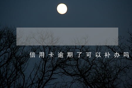 信用卡逾期了可以补办吗 信用卡逾期了可以补办吗
