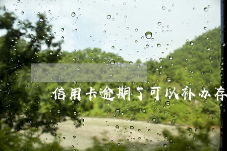 信用卡逾期了可以补办存储卡吗 信用卡逾期了可以补办存储卡吗