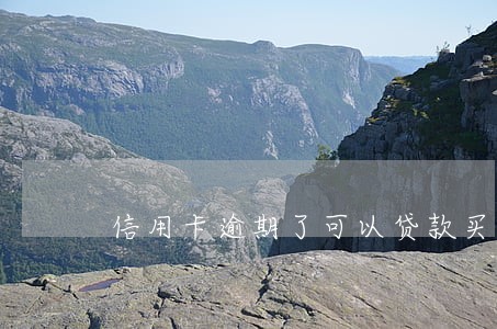 信用卡逾期了可以贷款买车不 信用卡逾期了可以贷款买车不