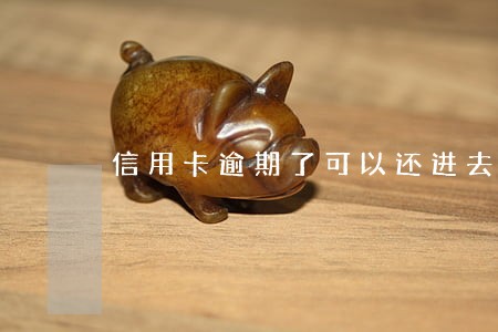 信用卡逾期了可以还进去吗 信用卡逾期了可以还进去吗
