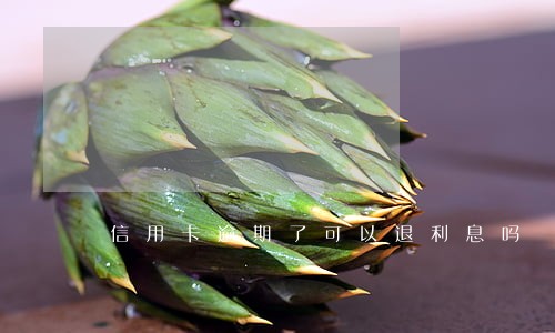 信用卡逾期了可以退利息吗