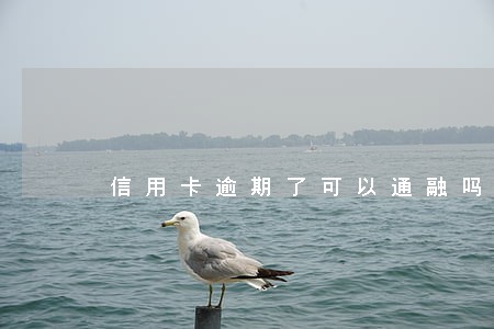 信用卡逾期了可以通融吗 信用卡逾期了可以通融吗