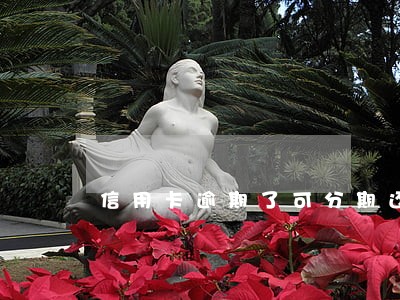 信用卡逾期了可分期还款吗 信用卡逾期了可分期还款吗