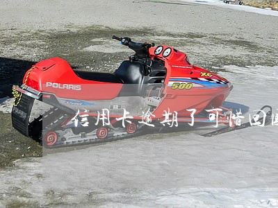 信用卡逾期了可惜回国吗 信用卡逾期了可惜回国吗
