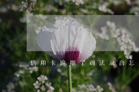信用卡逾期了司法录音怎么回事 信用卡逾期了司法录音怎么回事