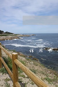 信用卡逾期了名下有个车能卖吗 信用卡逾期了名下有个车能卖吗