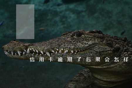 信用卡逾期了后果会怎样