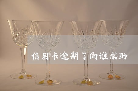 信用卡逾期了向谁求助 信用卡逾期了向谁求助
