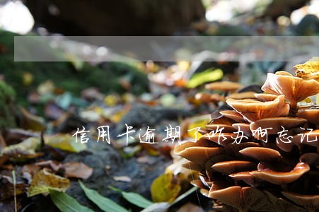 信用卡逾期了咋办啊忘记了 信用卡逾期了咋办啊忘记了