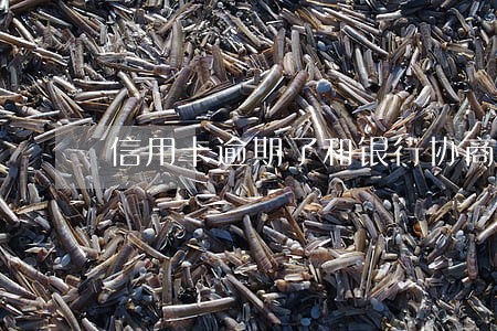 信用卡逾期了和银行协商 信用卡逾期了和银行协商