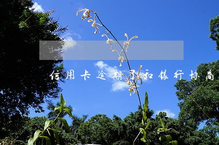信用卡逾期了和银行协商可以吗 信用卡逾期了和银行协商可以吗