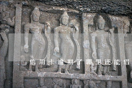 信用卡逾期了哪里还能借款 信用卡逾期了哪里还能借款