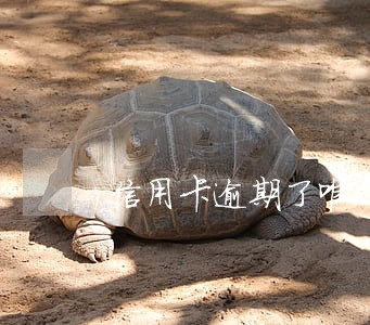 信用卡逾期了唯一对不起的父母 信用卡逾期了唯一对不起的父母