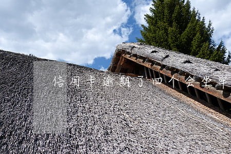 信用卡逾期了四个会坐牢吗 信用卡逾期了四个会坐牢吗