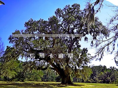 信用卡逾期了回自动封几天 信用卡逾期了回自动封几天