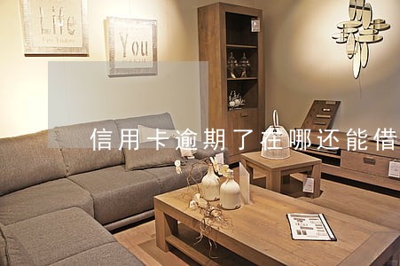 信用卡逾期了在哪还能借到钱 信用卡逾期了在哪还能借到钱