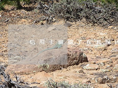 信用卡逾期了在套现还