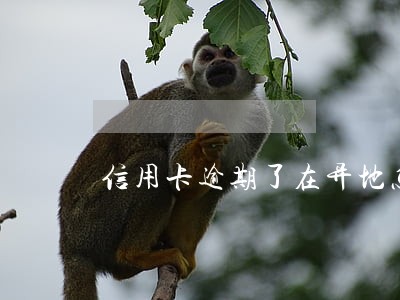 信用卡逾期了在异地怎么处理 信用卡逾期了在异地怎么处理