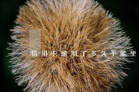 信用卡逾期了多久不能坐飞机