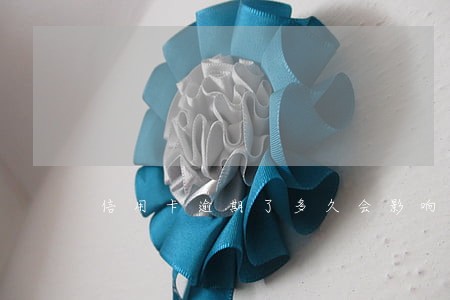 信用卡逾期了多久会影响信用 信用卡逾期了多久会影响信用