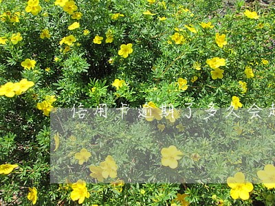 信用卡逾期了多久会起诉 信用卡逾期了多久会起诉